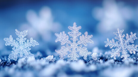 冬季雪花细节特写插图