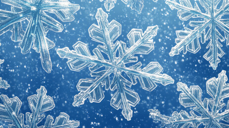 冬季雪花细节特写插图