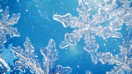 冬季雪花细节特写插图