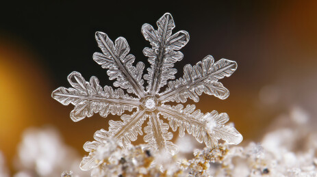 冬季雪花细节特写插图