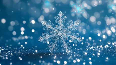 冬季雪花细节特写插图