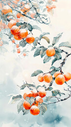 24节气植物果实系列插画