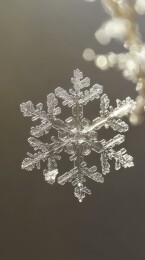 晶莹剔透的雪花特写