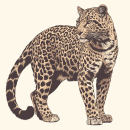 豹子复古插画