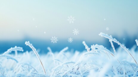 立冬冬天自然风景插画