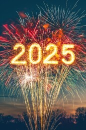 新年夜晚烟花焰火数字20253D立体插画