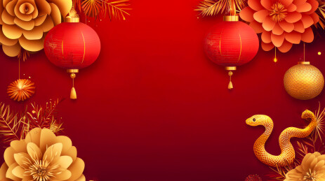 2025蛇年红色背景金色剪纸花灯