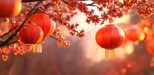 3D中式新年春节灯笼场景