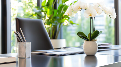 豪华办公室室内设计3D渲染