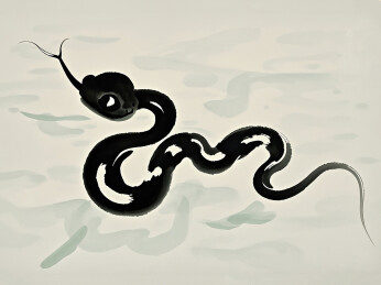 毛笔水墨书法字笔触效果蛇形