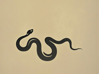 毛笔水墨书法字笔触效果蛇形