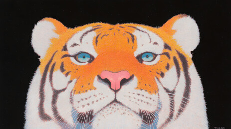 星空下的虎王凝视