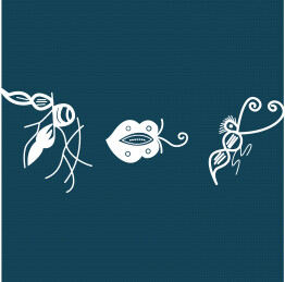 蝴蝶花草纹纹样