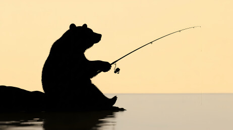 水中垂钓的熊剪影