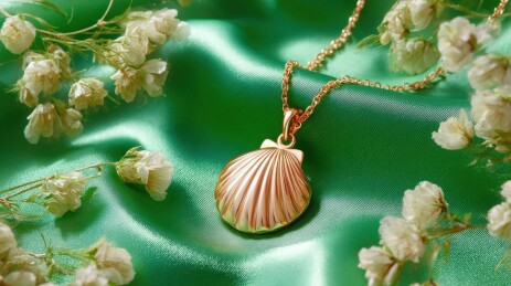 金色贝壳项链绿色背景