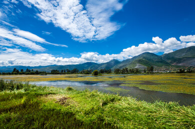 中国云南省鹤庆县东草海国家湿地公园风光