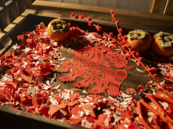 春节马年剪纸剪窗花红纸