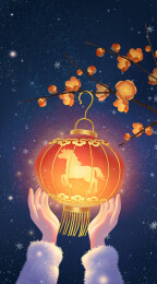 一双手把亮着的灯笼挂在梅花枝上